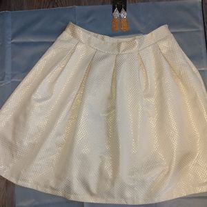 Ladies Skirt Size 2X